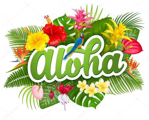 aloha Search